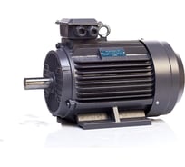 Электродвигатель ET YE2-132M-2-113000-50380-SF1-B3 100587279