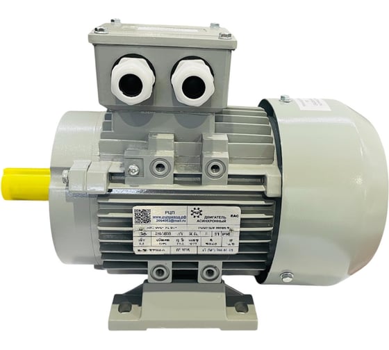 Электродвигатель ООО "РЦП ГРУПП" 0,12/3000 220/380 56B2 B34 У2 АИС (PAM 9/80) ПГ-00006120