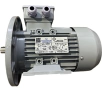 Электродвигатель ООО "РЦП ГРУПП" 0,25/1500 220/380 71A4 B35 У2 АИС (PAM 14/160) ПГ-00006131