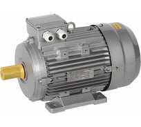 Электрический трехфазный двигатель IEK АИС 112L2 380В 5,5кВт 3000об/мин 1081 DRIVE AIS112-L2-005-5-3010