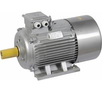 Электрический трехфазный двигатель IEK АИР 200L8 660В 22кВт 750об/мин 1081 DRIVE DRV200-L8-022-0-0710