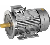 Электрический трехфазный двигатель IEK АИС 132MB2 380В 11кВт 3000об/мин 2081 DRIVE AIS132-B2-011-0-3020