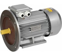 Электрический трехфазный двигатель IEK АИР 90LB8 380В 1,1кВт 750об/мин 2081 DRIVE DRV090-B8-001-1-0720