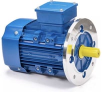 Электродвигатель 5АИ 63 В4 0.37/1500 IM 3081 01.01.213712