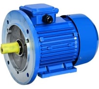 Электродвигатель 5АИ 71 А4 0.55/1500 IM 3081 01.01.213566