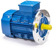 Электродвигатель 5АИ 80 А2 1.5/3000 IM 3081 01.01.213673