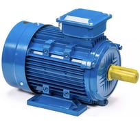 Электродвигатель 5АИ 112 МВ6 4/1000 IM 1081 01.01.213716