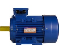 Электродвигатель 5АИ 132 S8 4/750 IM 1081 01.01.213744