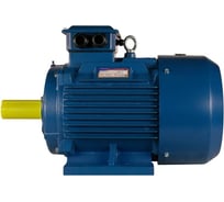 Электродвигатель 5АИ 250 S6 45/1000 IM 1001 01.01.213756