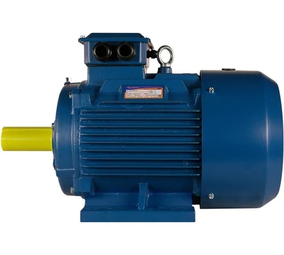 Электродвигатель 5АИ 355 MLA6 250/1000 IM 1001 01.01.215749