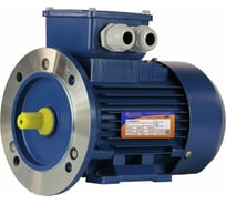 Электродвигатель 5АИ 56 А4 0.12/1500 IM 2081 01.01.213513