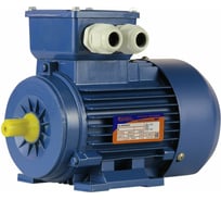 Электродвигатель 5АИ 56 В4 0.18/1500 IM 1081 01.01.213516
