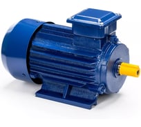 Электродвигатель 5АИ 63 В2 0.55/3000 IM 1081 01.01.213526