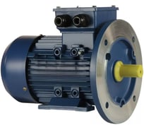 Электродвигатель 5АИ 63 В4 0.37/1500 IM 2081 01.01.213531