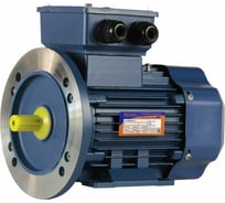 Электродвигатель 5АИ 63 В6 0.25/1000 IM 2081 01.01.213532