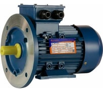 Электродвигатель 5АИ 71 А6 0.37/1000 IM 2081 01.01.213625