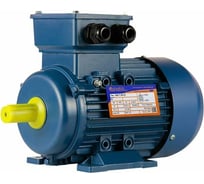 Электродвигатель 5АИ 71 В8 0.25/750 IM 1081 01.01.213537