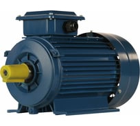 Электродвигатель 5АИ 80 А4 FT100 1.1/1500 IM 2181 01.01.221507
