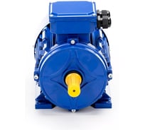 Электродвигатель 5АИ 80 В2 2.2/3000 IM 1081 01.01.213459