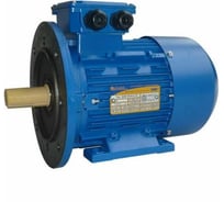 Электродвигатель 5АИ 80 В2 2.2/3000 IM 2081 01.01.213546