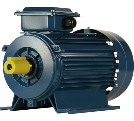 Электродвигатель 5АИ 90 L2 3/3000 IM 1081 01.01.213461