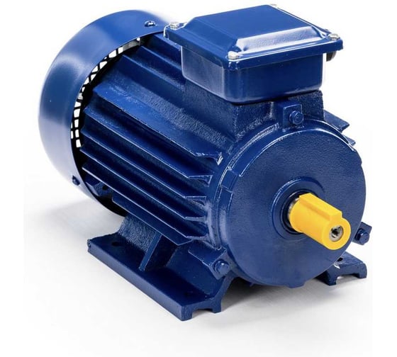 Электродвигатель 5АИ 90 L2 3/3000 IM 1081 01.01.213461