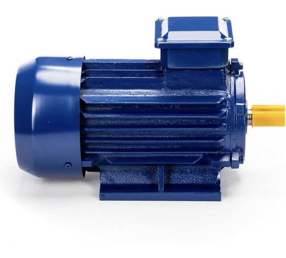 Электродвигатель 5АИ 90 L2 3/3000 IM 1081 01.01.213461