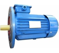 Электродвигатель 5АИ 90 L2 3/3000 IM 3081 01.01.216439