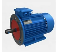 Электродвигатель 5АИ 90 L2 FT115 3/3000 IM 2181 01.01.221508