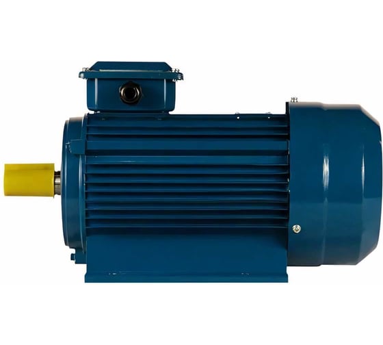 Электродвигатель 5АИ 90 L4 2.2/1500 IM 1081 01.01.213462