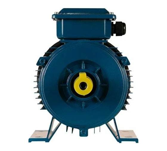 Электродвигатель 5АИ 90 LA8 0.75/750 IM 1081 01.01.213635