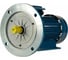 Электродвигатель 5АИ 90 LA8 0.75/750 IM 2081 01.01.213636 1