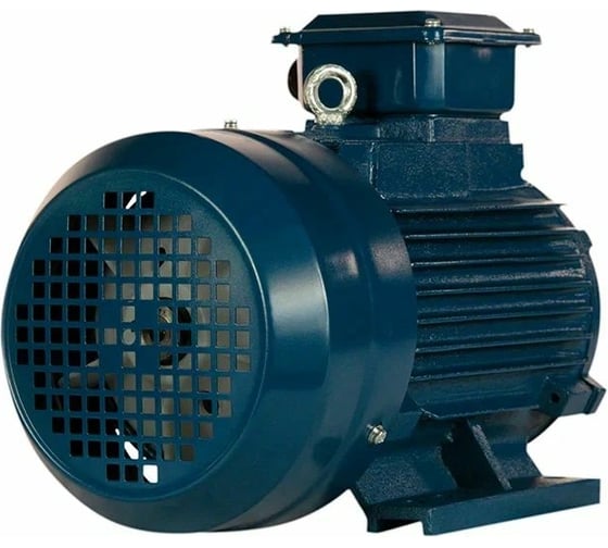 Электродвигатель 5АИ 100 L2 5.5/3000 IM 1081 01.01.213567