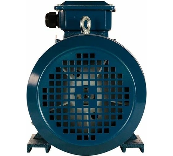 Электродвигатель 5АИ 100 L2 5.5/3000 IM 1081 01.01.213567