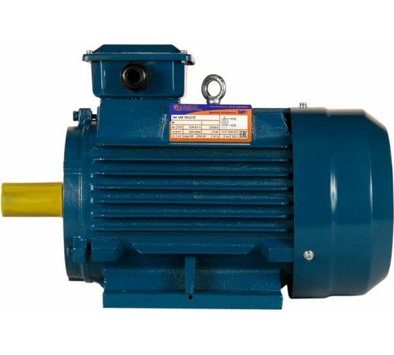 Электродвигатель 5АИ 100 L2 5.5/3000 IM 1081 01.01.213567