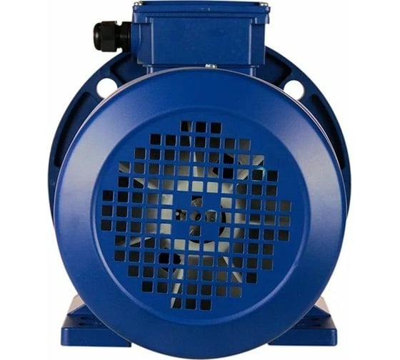 Электродвигатель 5АИ 100 L2 5.5/3000 IM 2081 01.01.213678