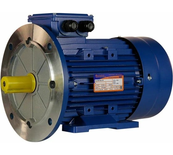 Электродвигатель 5АИ 100 L2 5.5/3000 IM 2081 01.01.213678
