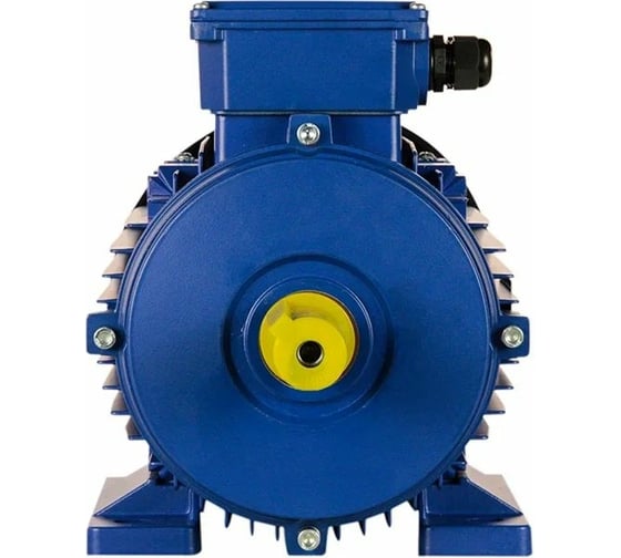 Электродвигатель 5АИ 100 L4 4/1500 IM 1081 01.01.213680