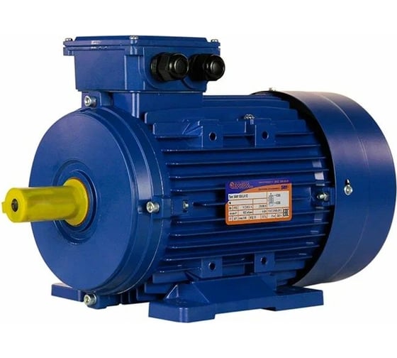 Электродвигатель 5АИ 100 L4 4/1500 IM 1081 01.01.213680