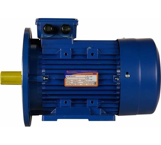 Электродвигатель 5АИ 100 L2Ж 5.5/3000 IM 2081 01.01.216693