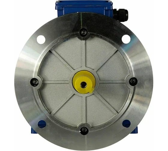 Электродвигатель 5АИ 100 L2Ж 5.5/3000 IM 2081 01.01.216693