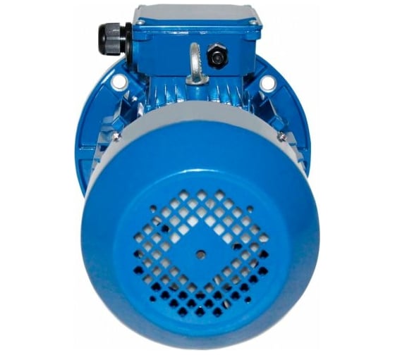 Электродвигатель 5АИ 100 L4 4/1500 IM 3081 01.01.213682