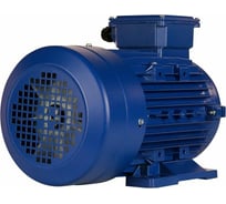 Электродвигатель 5АИ 100 L6 2.2/1000 IM 1081 01.01.213619