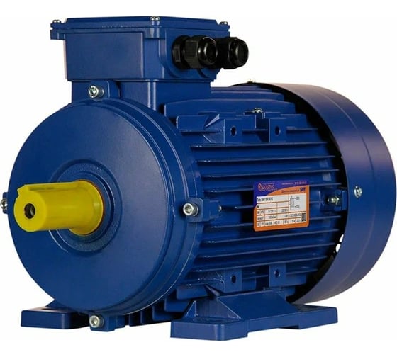 Электродвигатель 5АИ 100 L6 2.2/1000 IM 1081 01.01.213619