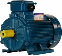 Электродвигатель 5АИ 100 L8 1.5/750 IM 1081 01.01.213553