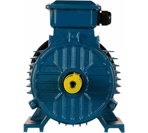 Электродвигатель 5АИ 100 L8 1.5/750 IM 1081 01.01.213553