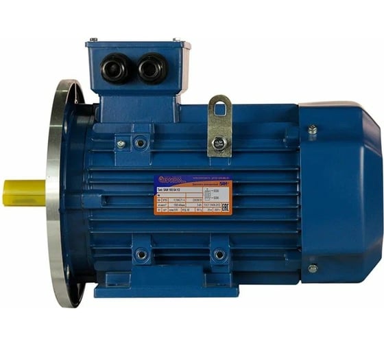 Электродвигатель 5АИ 100 S2 4/3000 IM 2081 01.01.213556