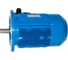 Электродвигатель 5АИ 100 L2 5.5/3000 IM 3081 01.01.213679 2