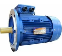Электродвигатель 5АИ 100 S2 4/3000 IM 3081 01.01.213666