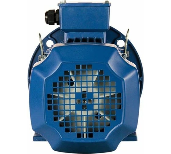 Электродвигатель 5АИ 100 S4 3/1500 IM 2081 01.01.213557